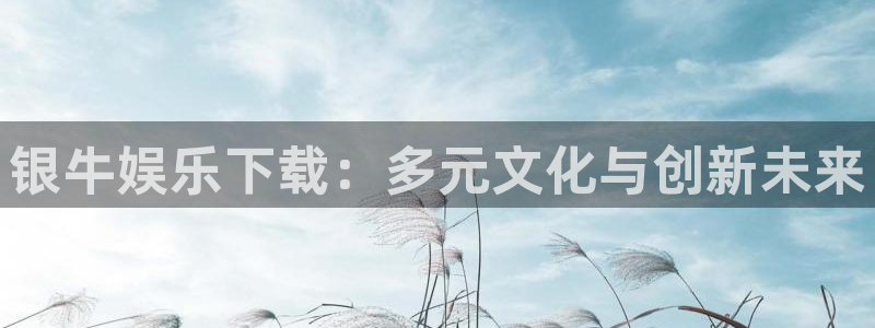 领航国际app下载软件