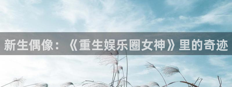 领航国际app下载最新版