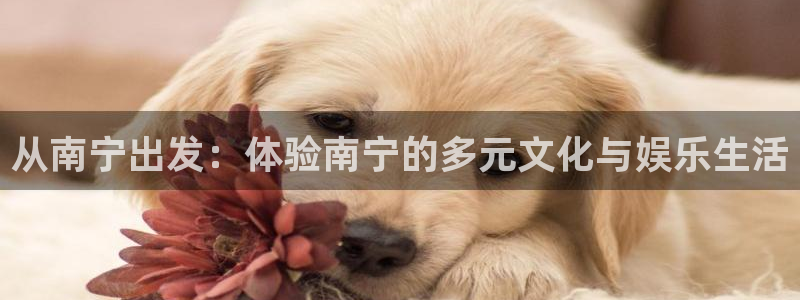 领航国际注册：从南宁出发：体验南宁的多元文化与娱乐生活
