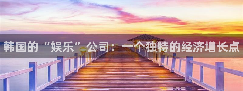 北京领航国际：韩国的“娱乐”公司：一个独特的经济增长点
