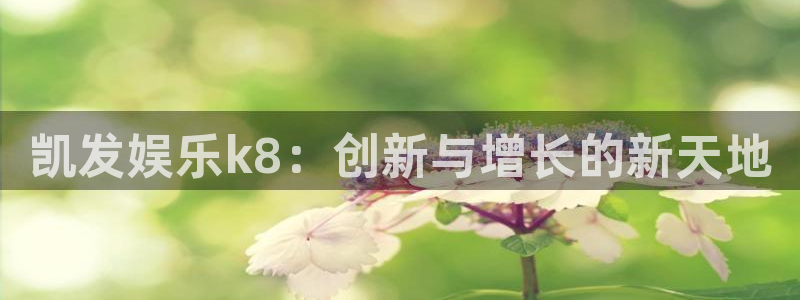 博大领航国际：凯发娱乐k8：创新与增长的新天地